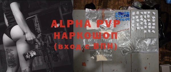 PSILOCYBIN Вязьма