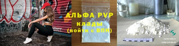 PSILOCYBIN Вязьма
