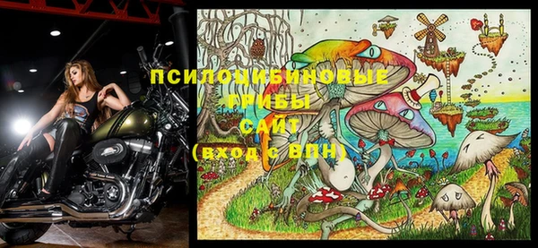 спиды Вязники