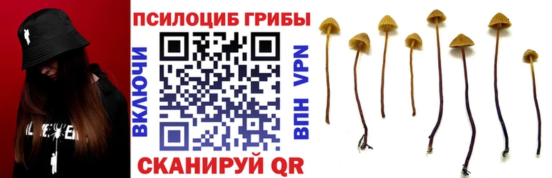 Псилоцибиновые грибы мухоморы  Вязники 
