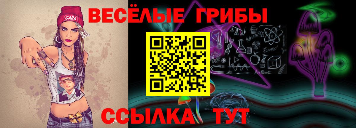 Псилоцибиновые грибы прущие грибы  даркнет сайт  Вязники  Галлюциногенные грибы Psilocybine cubensis  Вход с VPN 